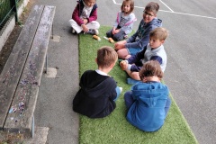 IMG_20250526_1614151