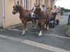 IMG-20220516-WA0000