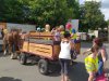 IMG_20220516_165453