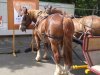 IMG_20220516_165500