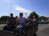 IMG_20220517_164614