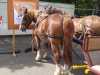 IMG-20220516-WA0034