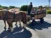 IMG-20220517-WA0015