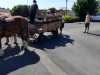 IMG-20220517-WA0018