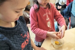 Copie-de-IMG20260202115214