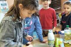 Copie-de-IMG20260202120944