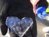 IMG_20240119_103228