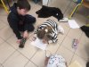 IMG_20240212_095127