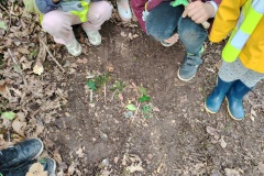 IMG_20250404_103001