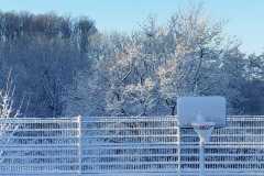 IMG-20260106-WA0014