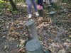 IMG_20210924_110151