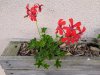 IMG_20220505_114456