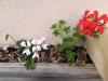 IMG_20220505_114504