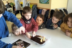 IMG20250204151111