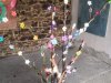 IMG_20240402_1102331