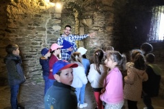 IMG20250509113241