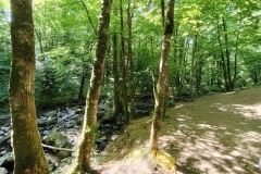IMG_20250509_113836