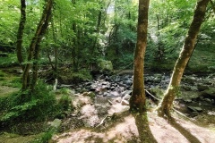 IMG_20250509_113850