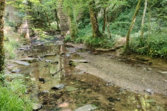 IMG_20250509_115408