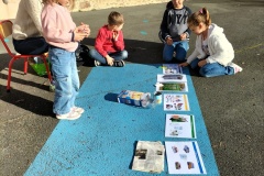 Copie-de-IMG20251118143822